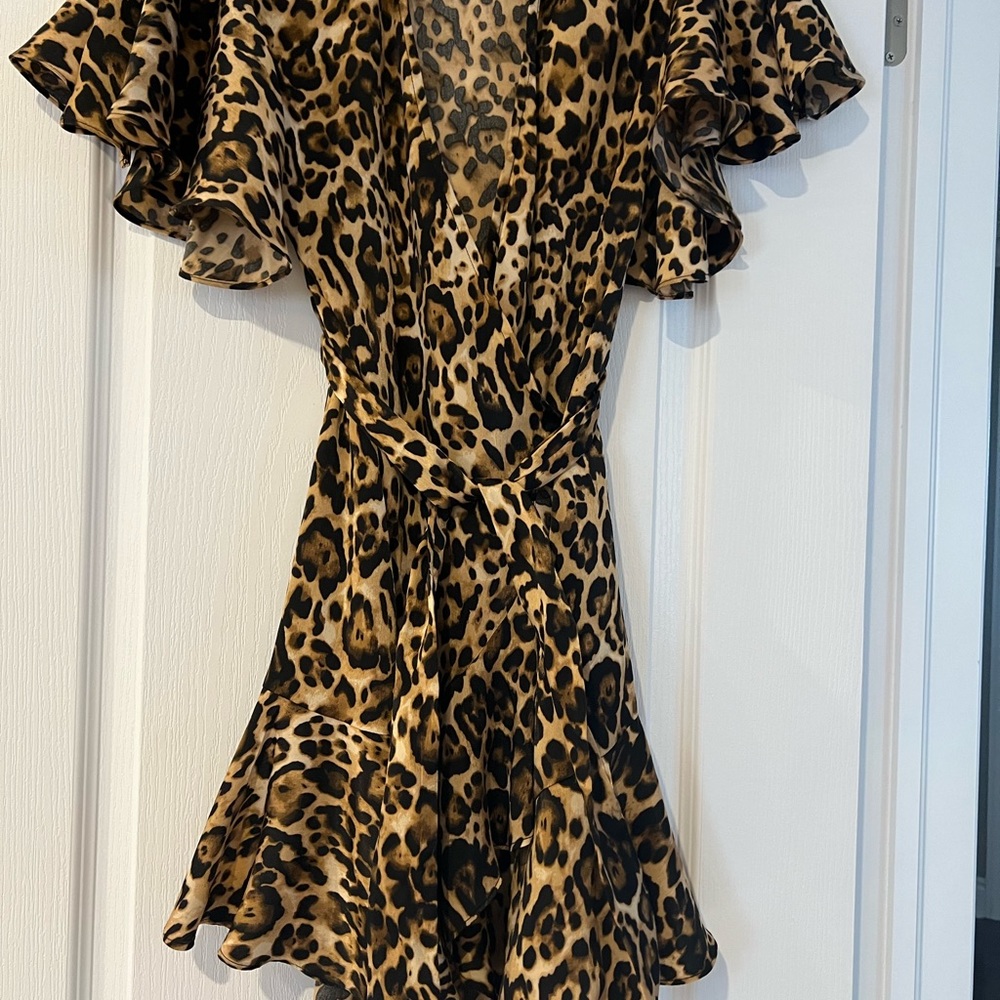 Dress - Picture 4 of 5